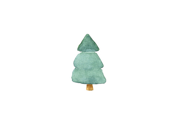 Watercolor Fir Tree PNG Objects in Objects - product preview 8