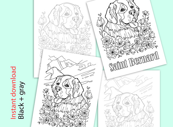 Saint Bernard coloring page in Illustrations - product preview 1