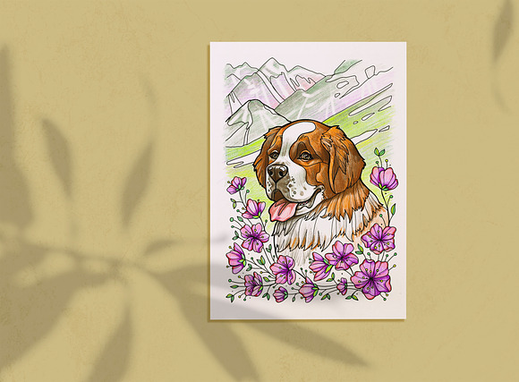 Saint Bernard coloring page in Illustrations - product preview 2