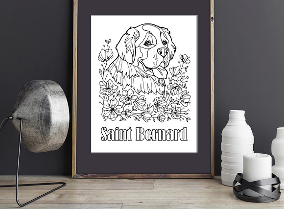 Saint Bernard coloring page in Illustrations - product preview 3
