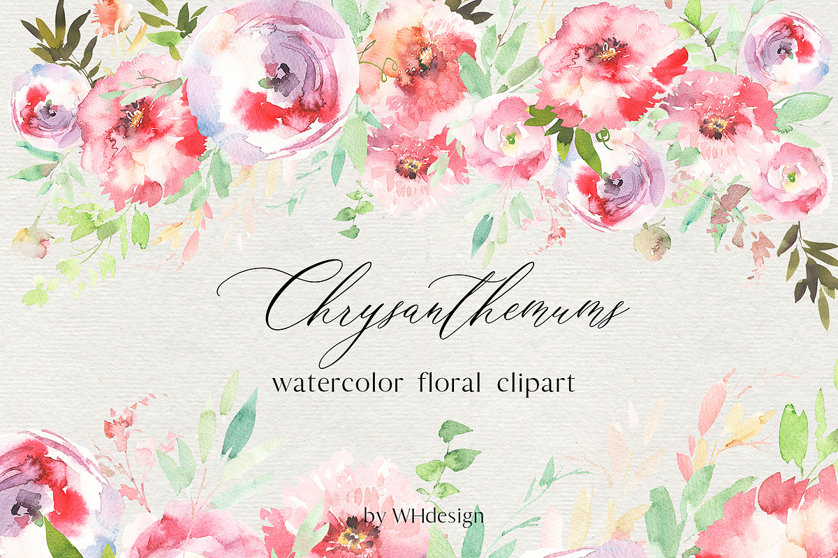Chrysanthemums Watercolor Clip Art in Illustrations - product preview 8