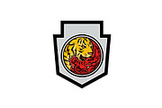 Dragon and Tiger in Yin Yang Symbol