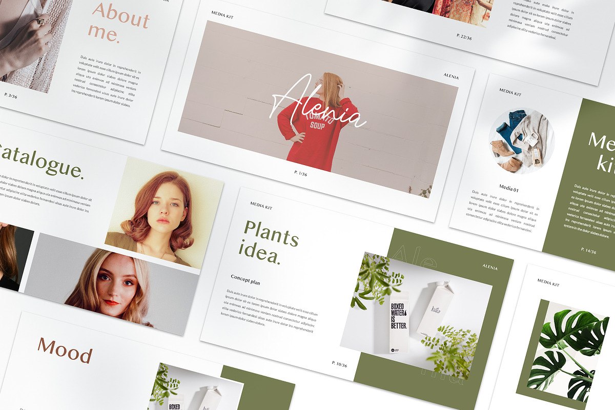 ALENIA - Media Kit Powerpoint in PowerPoint Templates - product preview 8