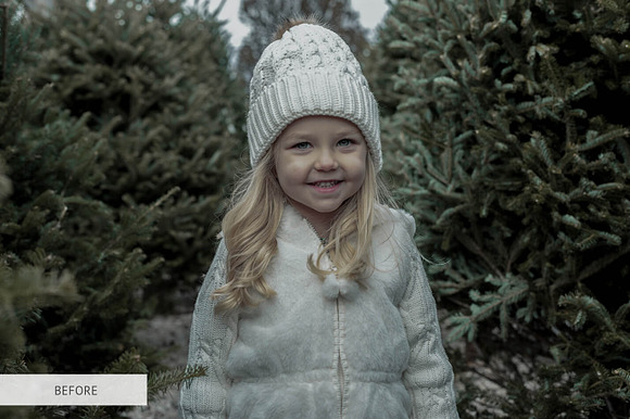 Winter Dreams Actions for Photoshop in Add-Ons - product preview 12