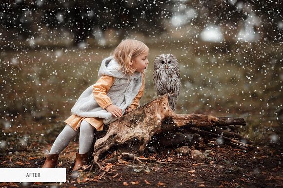 Winter Mood Actions for Photoshop in Add-Ons - product preview 15