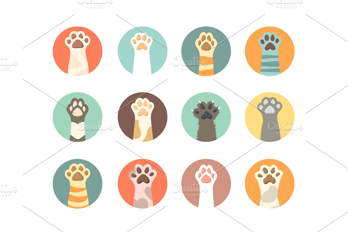 cat paws collection. domestic in Illustrations - product preview 8