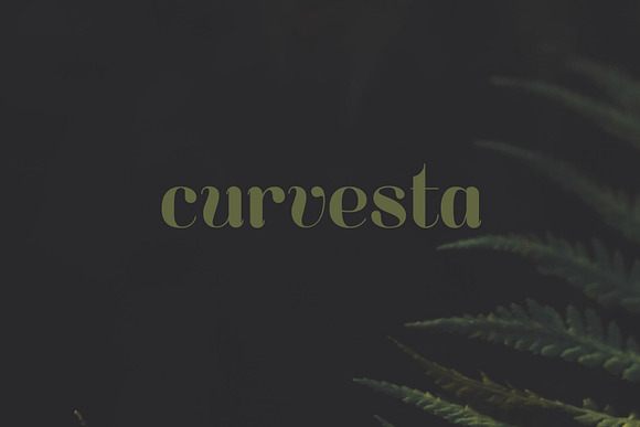 Curvesta – Display Font in Display Fonts - product preview 6