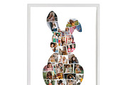 Hare Rabbit Bunny photo collage