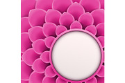 Background with soft pink flower