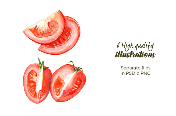 Whole & Sliced Tomates | 6 Clip-arts in Illustrations - product preview 1