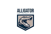 Alligator Alarms and Home Security L