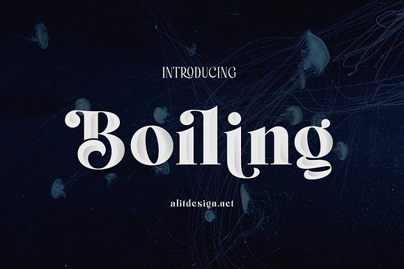 Boiling Variable fonts in Serif Fonts - product preview 15
