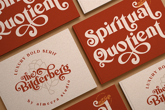 Bilderberg | Luxury Bold Serif in Serif Fonts - product preview 11