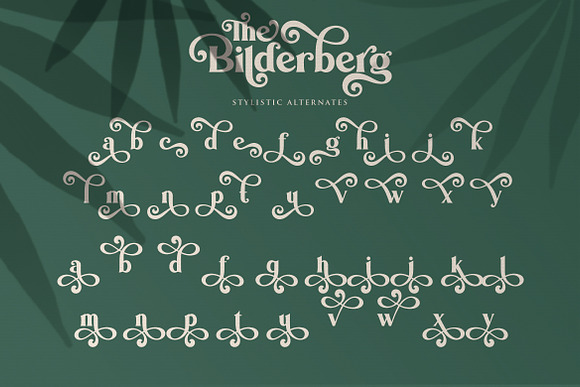 Bilderberg | Luxury Bold Serif in Serif Fonts - product preview 18