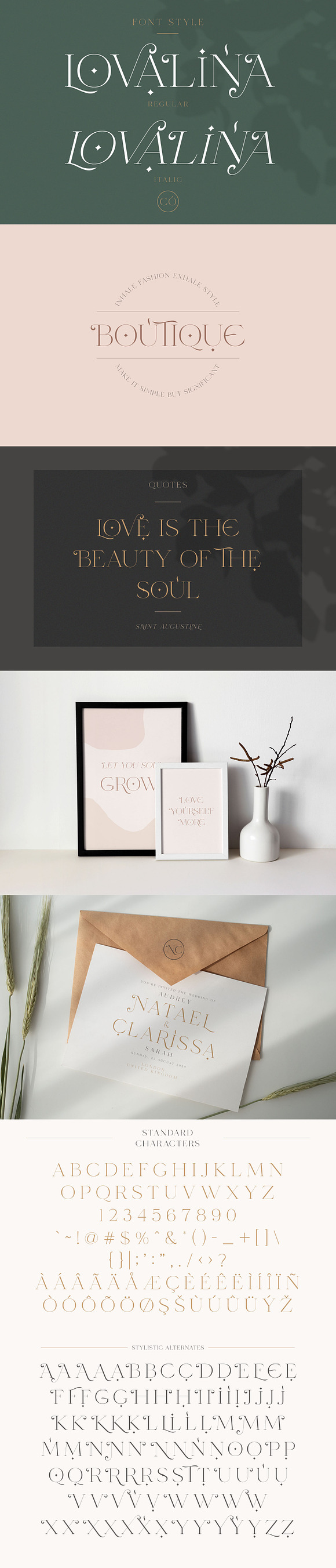Lovalina - Elegant Serif Font Family in Serif Fonts - product preview 7