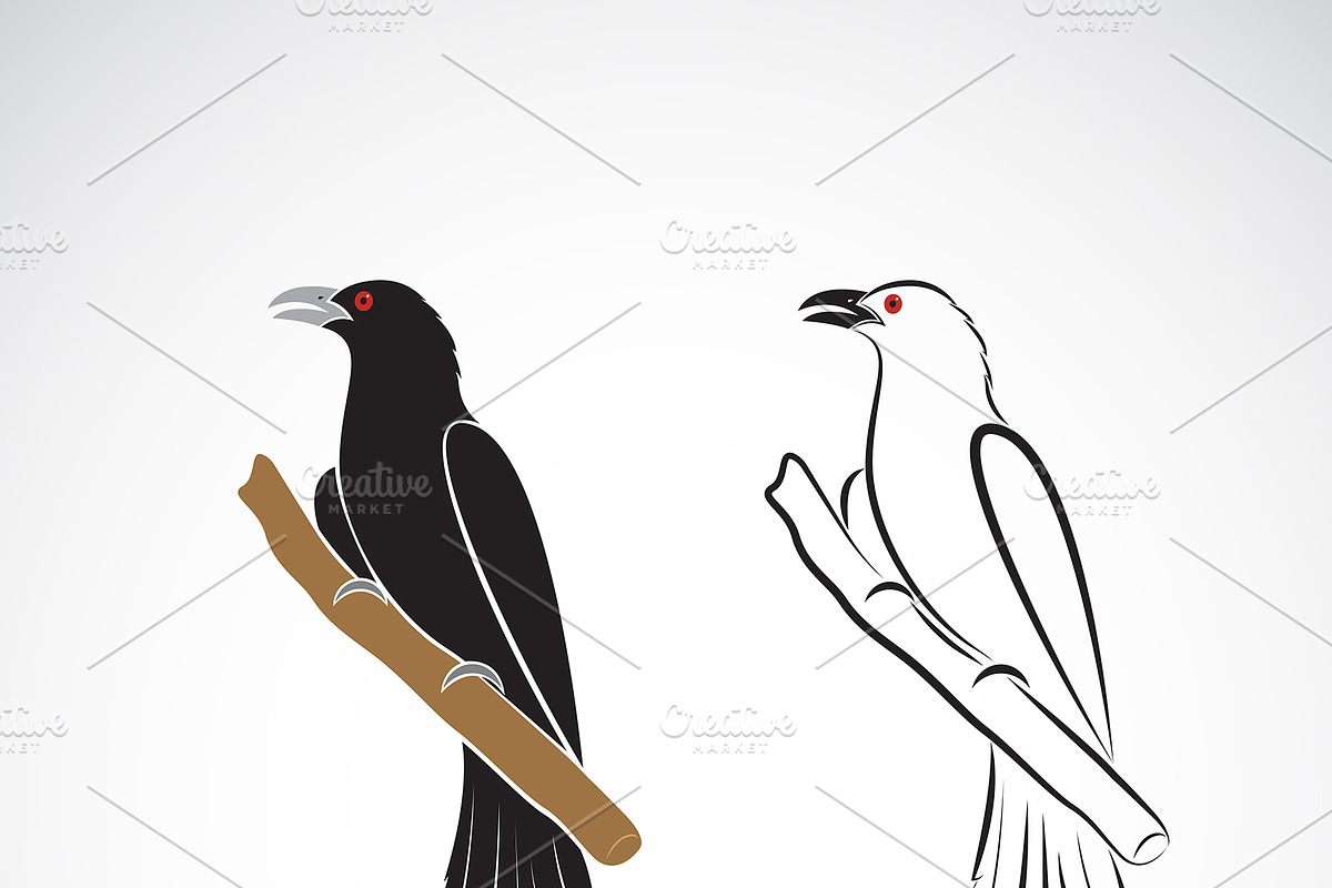 Asian koel bird. Birds. Animals. in Icons - product preview 8