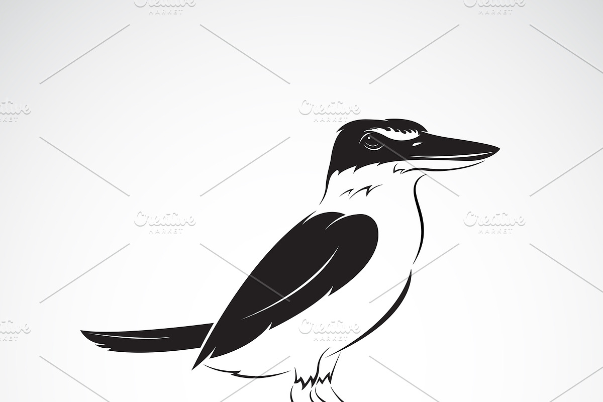 Collared kingfisher. Birds. Animals. in Illustrations - product preview 8