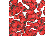 Red tomato seamless pattern sketch