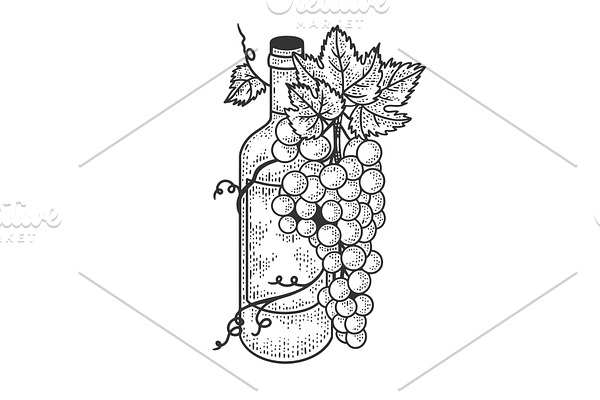 Wine bottle and grapes sketch vector