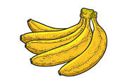 Banana fruit sketch vector