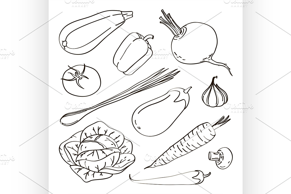 Mixed Vegetable - Vegetable Isolated in Illustrations - product preview 8
