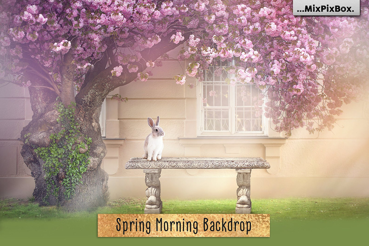 Spring Morning Backdrop in Add-Ons - product preview 8