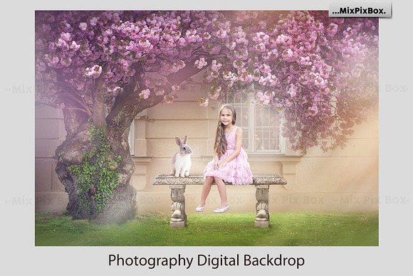 Spring Morning Backdrop in Add-Ons - product preview 1