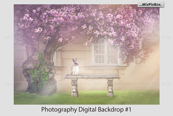 Spring Morning Backdrop in Add-Ons - product preview 2