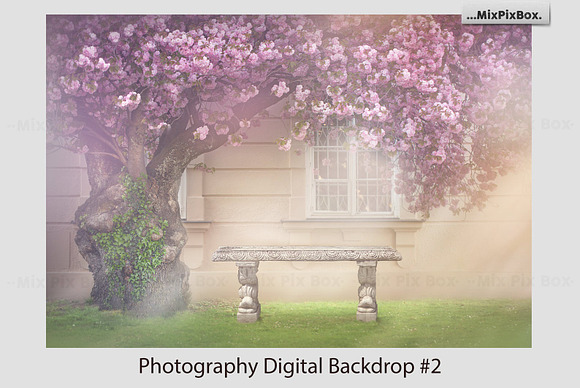 Spring Morning Backdrop in Add-Ons - product preview 3