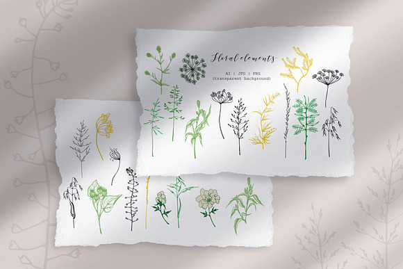 Wildflower patterns & elements in Patterns - product preview 8