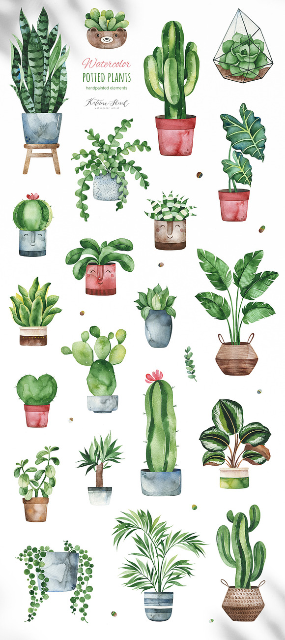 Watercolor Potted Plants in Objects - product preview 1