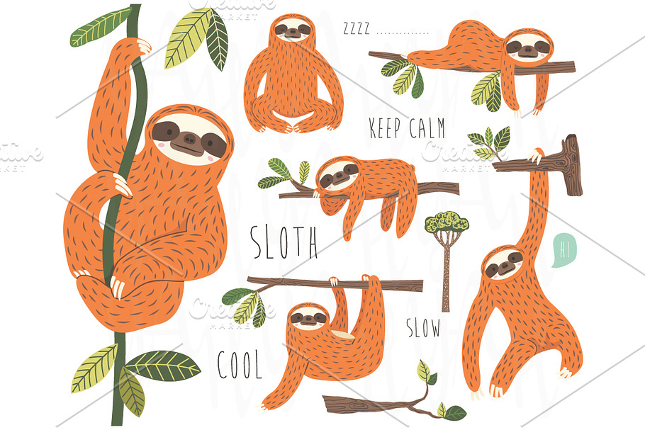 Cute Sloths Collections Set