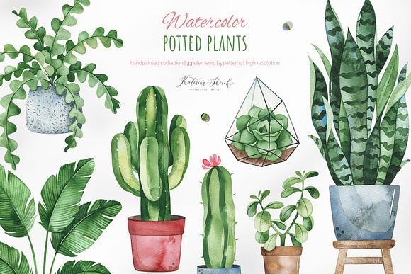 Watercolor Potted Plants in Objects - product preview 3
