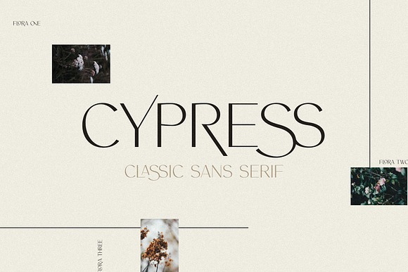 Cypress | A Ligature Sans in Sans-Serif Fonts - product preview 7