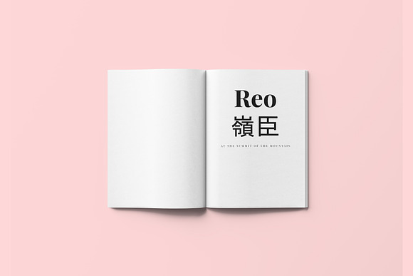 Reo - Book / eBook Template in Magazine Templates - product preview 2