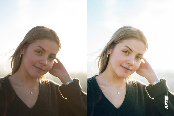 Portrait Presets (Mobile & Desktop) in Add-Ons - product preview 3