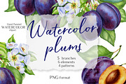 Watercolor plums