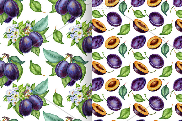 Watercolor plums in Illustrations - product preview 4