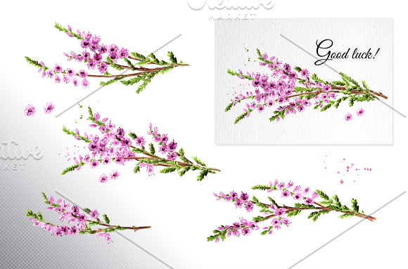 Heather. Watercolor collection in Illustrations - product preview 2