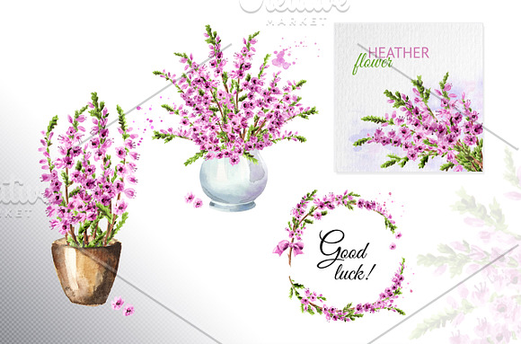 Heather. Watercolor collection in Illustrations - product preview 3