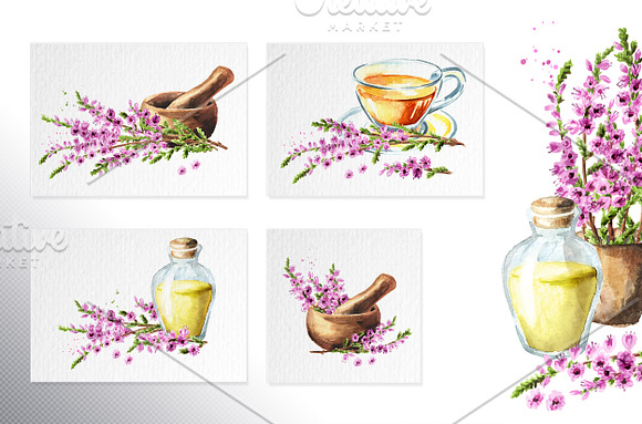 Heather. Watercolor collection in Illustrations - product preview 5