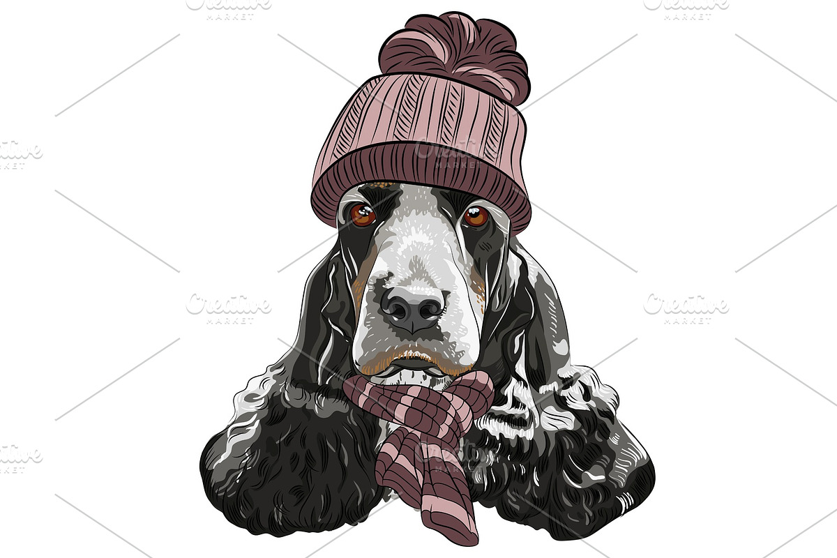 vector hipster dog English Cocker in Illustrations - product preview 8