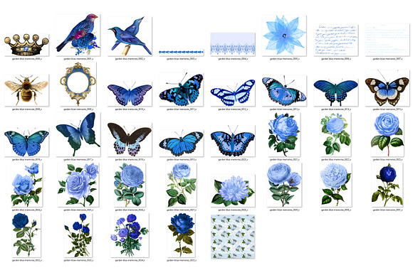 Garden Blue Memories in Illustrations - product preview 1