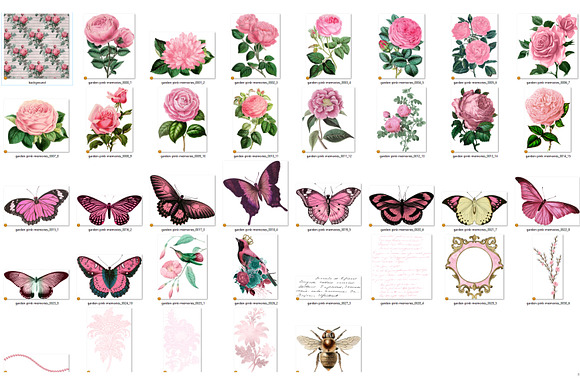 Garden Pink Memories Clipart in Illustrations - product preview 2