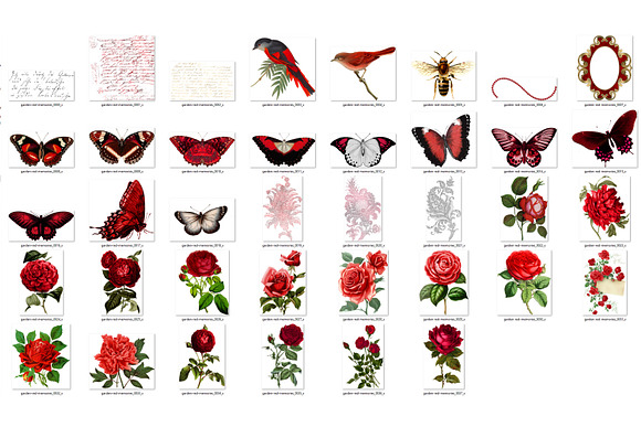 Garden Red Memories Clipart in Illustrations - product preview 2