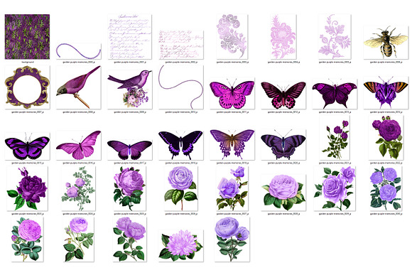 Garden Purple Memories Clipart in Illustrations - product preview 2