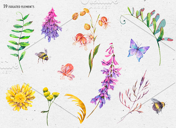 Watercolor meadow herbs&flowers in Illustrations - product preview 3