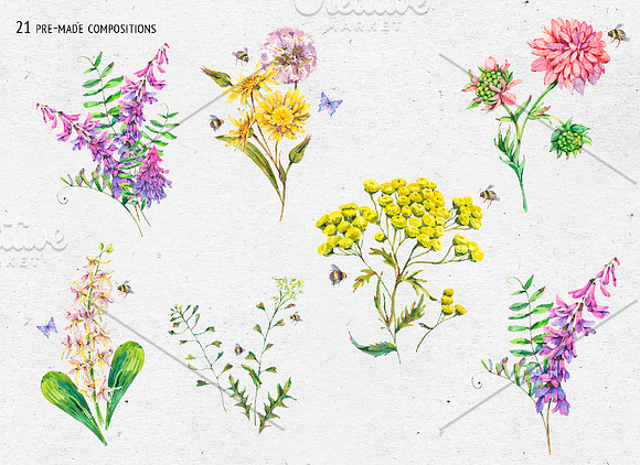 Watercolor meadow herbs&flowers in Illustrations - product preview 4