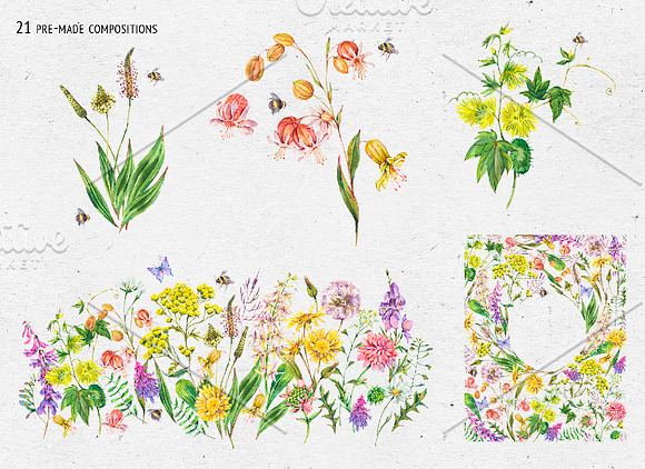 Watercolor meadow herbs&flowers in Illustrations - product preview 5