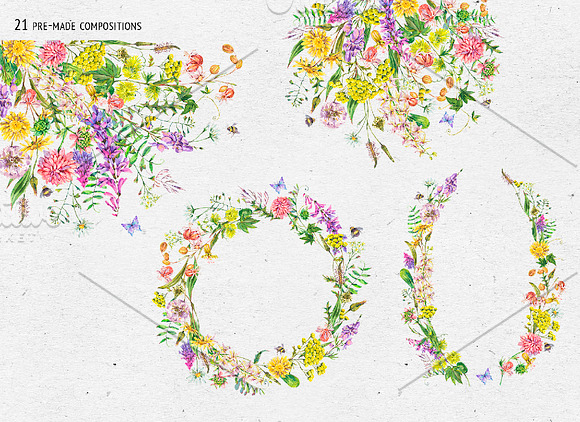 Watercolor meadow herbs&flowers in Illustrations - product preview 6
